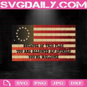 Because Of This Flag You Are Allowed An Opinion You're Welcome Svg, USA Betsy Ross American Flag Svg