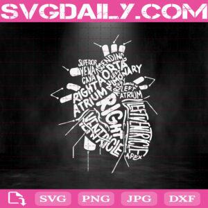 Anatomical Heart Svg, Anatomical Svg, Heart Svg, Anatomical Heart Cardiac Svg, Nurse Svg, Svg Png Dxf Eps Download Files