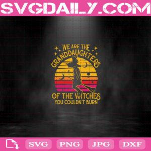 We Are The Granddaughters Of The Witches You Couldn’t Burn Svg, Vintage Witch Halloween Svg, Witch Svg