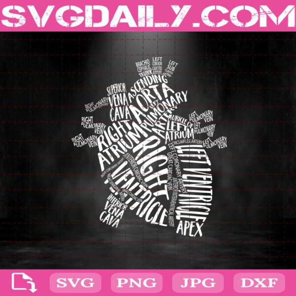 Anatomical Heart Svg, Anatomical Heart Svg Bundle, Nursing School Svg