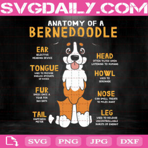 Bernedoodle Svg, Doodle Svg, Dog Lover Svg, Dog Anatomy Svg, Dog Mom Svg, Dog Dad Svg, Veterinarian Svg, Clipart Svg Png Dxf Eps