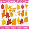Autumn Leaves Svg Bundle Free, Fall Leaves Svg Free, Leaf Svg Free, Autumn Svg Free, Clip Cut File Svg, File Svg
