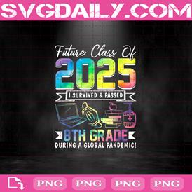 Future Class Of 2025 I Survived And Passed 8th Grade During A Global Pandemic Png, Laptop And Book Png, Facemask And Sanitizer Png