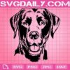 Labrador Dog Svg, Labrador svg, Black Labrador Svg, Dog Lover Svg, Dog Gift Svg, Svg Png Dxf Eps AI Instant Download