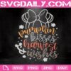 Pumpkin Kisses Harvest Wishes Svg, Disney Fall Svg, Thanksgiving Cut File