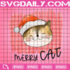 Merry Cat Png, Cute Cat Face Merry Christmas Png, Cat With Santa Hat Png, Christmas Eve Png, Png Printable, Instant Download, Digital File