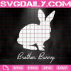 Brother Bunny Svg, Easter Svg, Easter Family Svg, Bunny Svg, Happy Easter Svg, Easter Bunny Svg, Instant Download