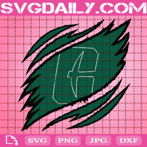 Charlotte 49ers Claws Svg, Football Svg, Football Team Svg, NCAAF Svg, NCAAF Logo Svg, Sport Svg, Instant Download