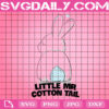 Little Mr Cotton Tail Easter Svg, Easter Svg, Cute Easter Svg, Easter Day Svg, Happy Easter Svg, Svg Png Dxf Eps Instant Download