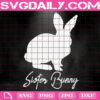 Sister Bunny Svg, Easter Svg, Easter Family Svg, Bunny Svg, Happy Easter Svg, Easter Bunny Svg, Instant Download
