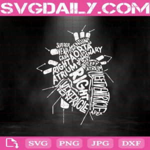 Anatomical Heart Svg, Anatomical Svg, Heart Svg, Anatomical Heart Cardiac Svg, Nurse Svg, Svg Png Dxf Eps Download Files