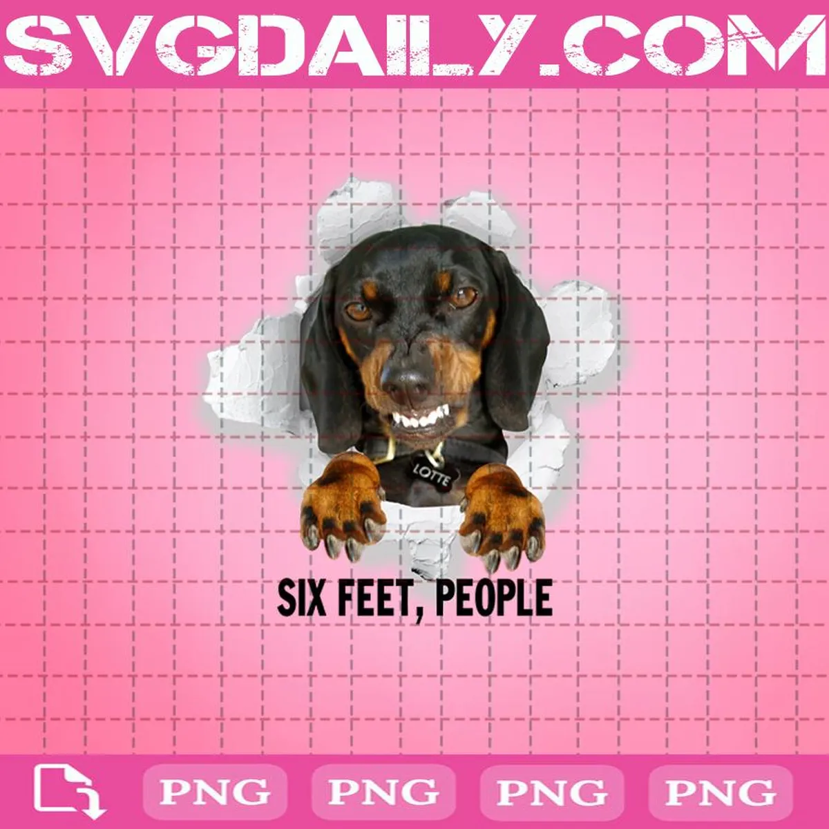 Funny Dachshund Six Feet People Png, Social Distancing Png, Dachshund Png, Dog Png, Pet Lover Png