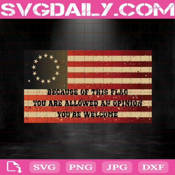 Because Of This Flag You Are Allowed An Opinion You'Re Welcome Svg