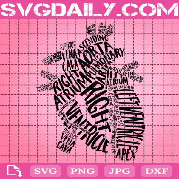 Anatomical Heart Svg