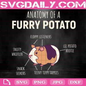 Anatomy Of A Furry Potato Guinea Pig Lover Svg