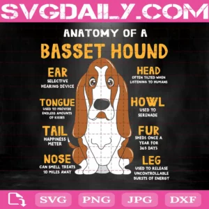 Basset Hound Svg