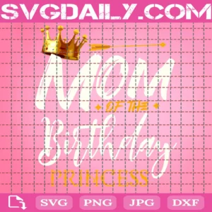 Birthday Party Shirts