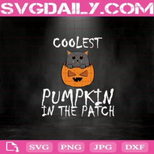 Coolest Pumpkin In The Patch Svg