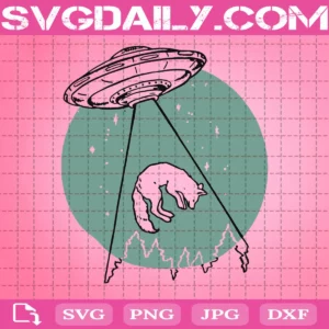 Elmwood Galactic Fox Svg