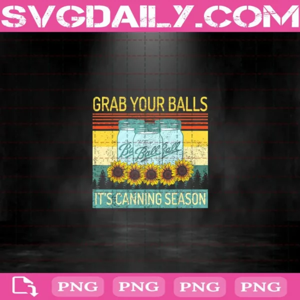 Grab Your Balls It's Canning Season Funny Vintage Sunflowers Png