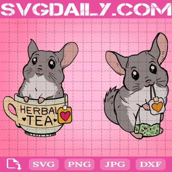 Herbal Tea Chinchilla Svg