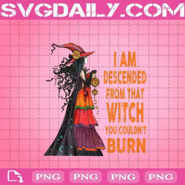 I Am Descended From That Witch You Couldn't Burn Png