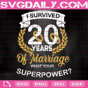 I Survived 20 Years Of Marriage