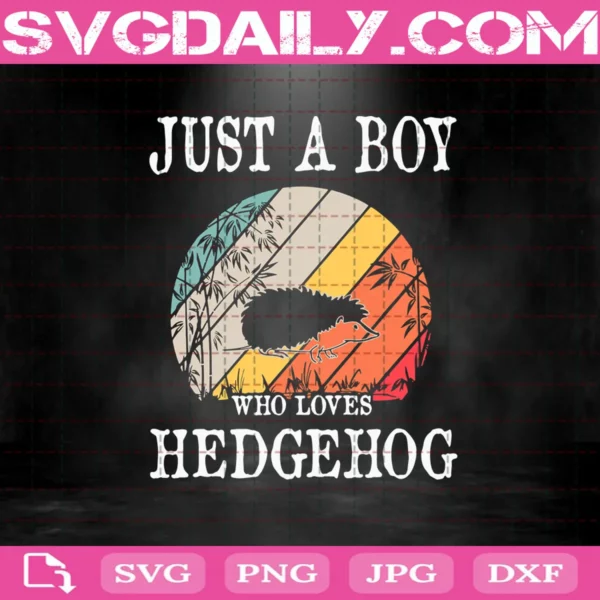 Just A Boy Who Loves Hedgehog Svg