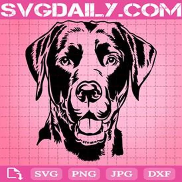 Labrador Dog Svg