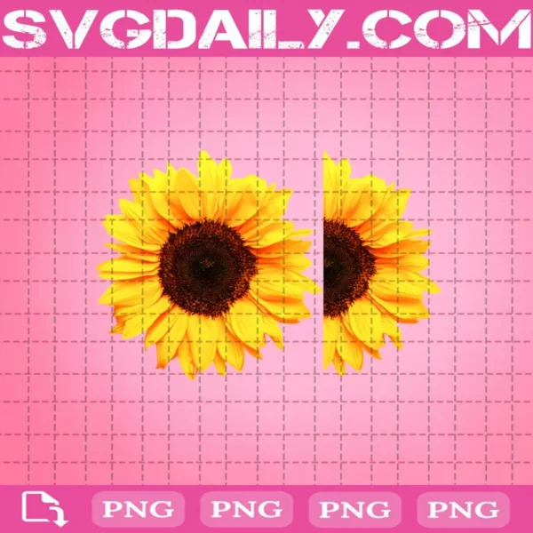 Sunflower Png Bundle