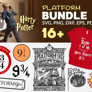 16+ Harry Potter Platform