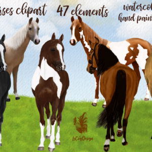 Watercolor Horse Clipart Graphic Png