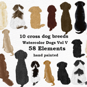 Dog Breeds Watercolor Graphic Png