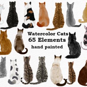 Cats Clipart Graphic Png