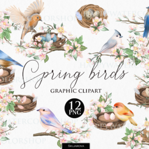 Spring Birds and Flowers Graphic Clipart Png
