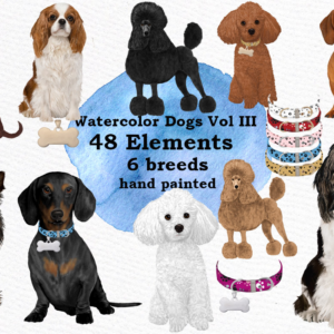 Dog Breeds Clipart Png Graphic Designs