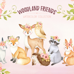 Woodland Animals Watercolor Clipart Png
