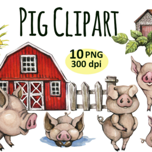 Watercolor Pig Clipart Png Bundle